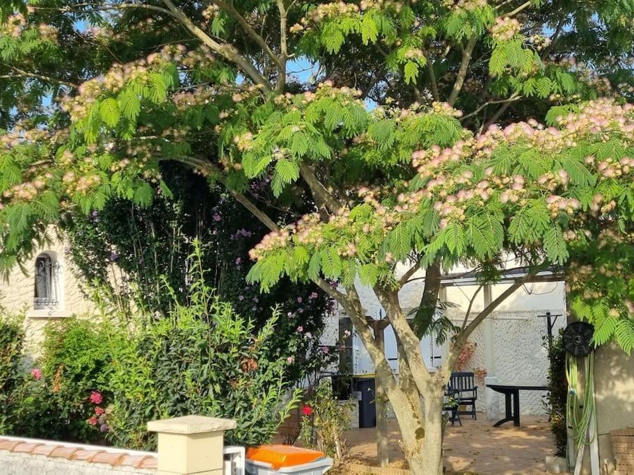 Agreable Maison Au Coeur De St Hilaire *
